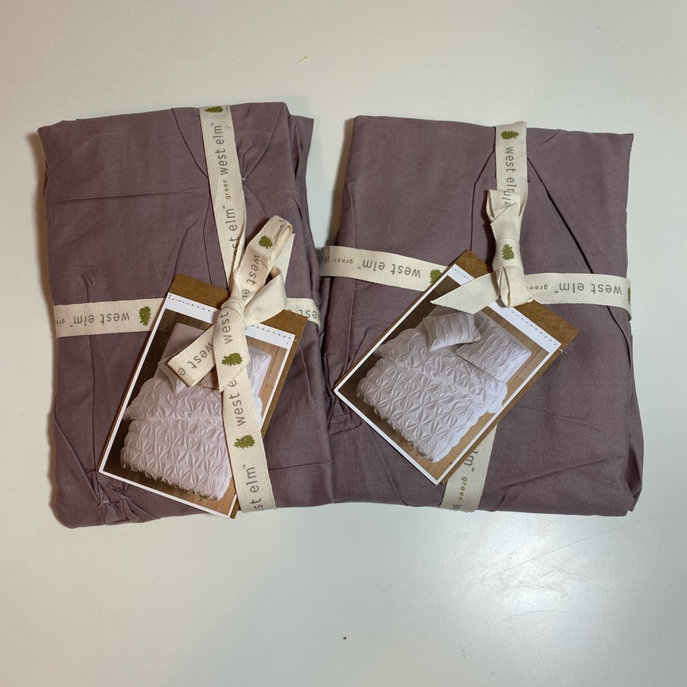 West Elm Cotton Pintuck Euro Shams Set of 2